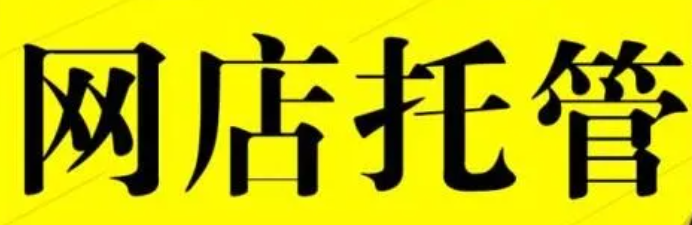 淘寶代運(yùn)營(yíng)公司